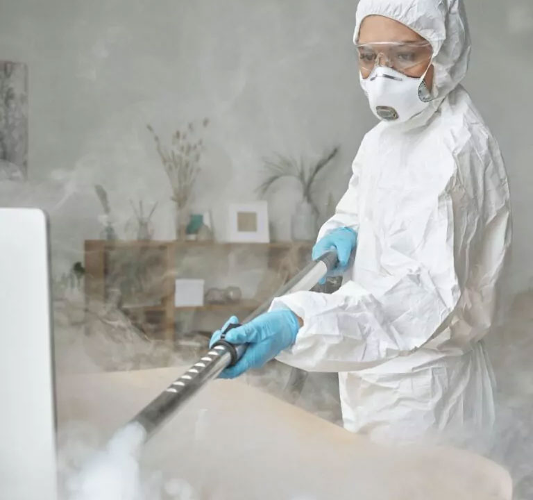 Woman disinfecting table with steam