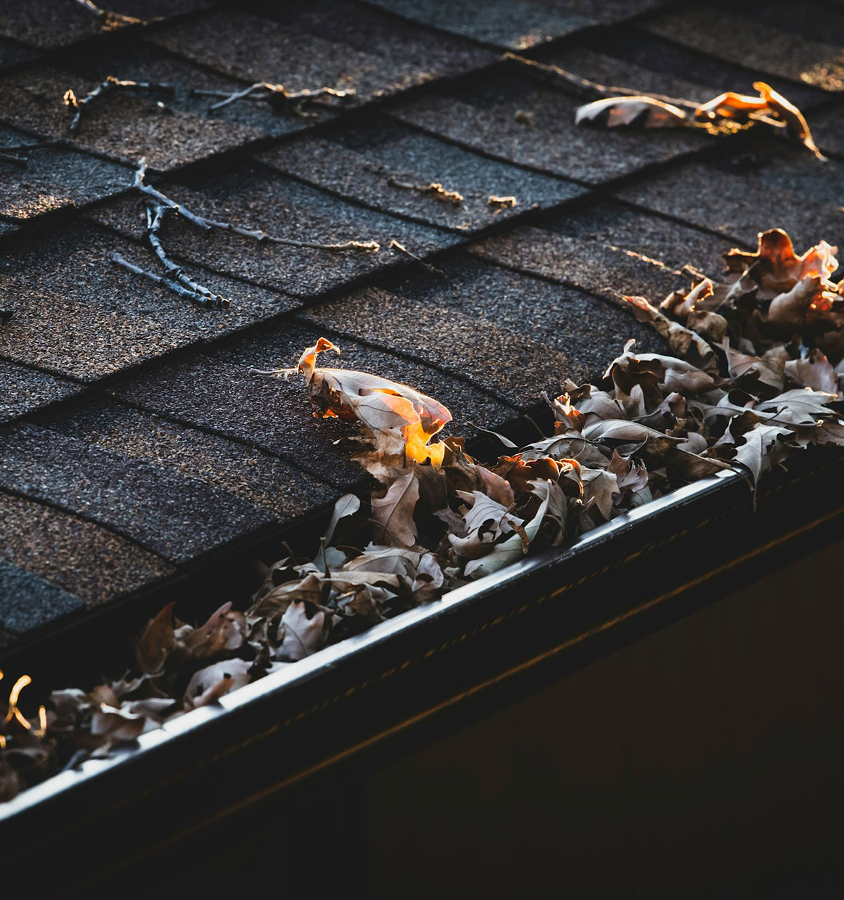 Leaves stacked in a gutter